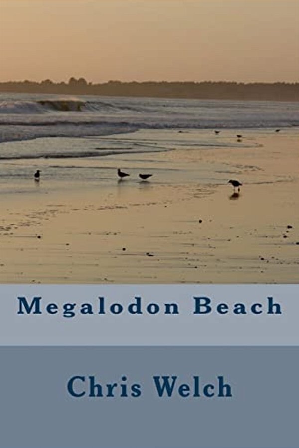 Megalodon Beach-..
