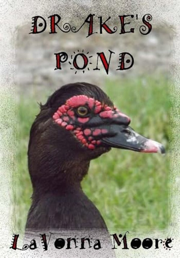Drake's Pond-..