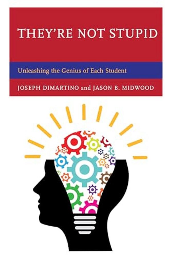They'Re Not Stupid: Unleashing The Genius Of Each Student-..