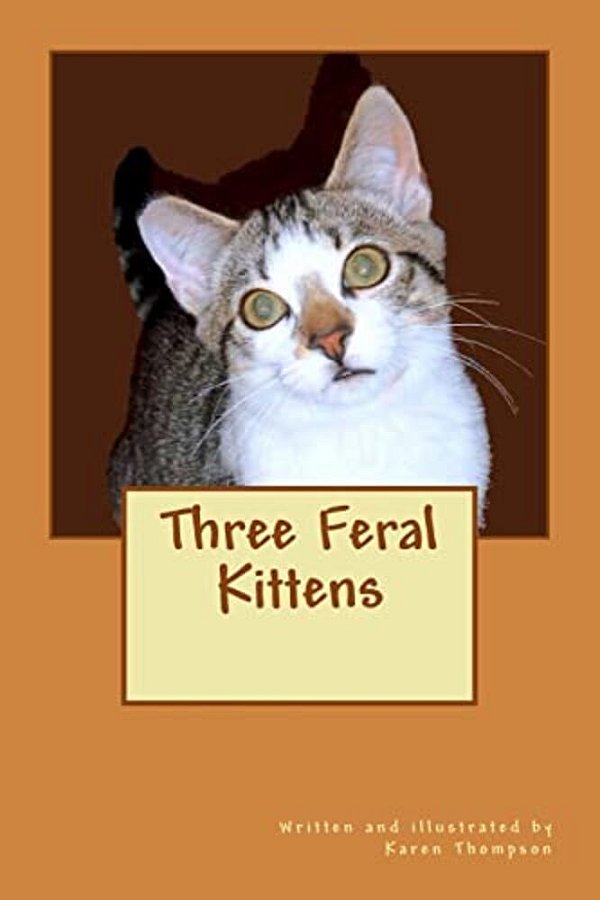 Three Feral Kittens-..
