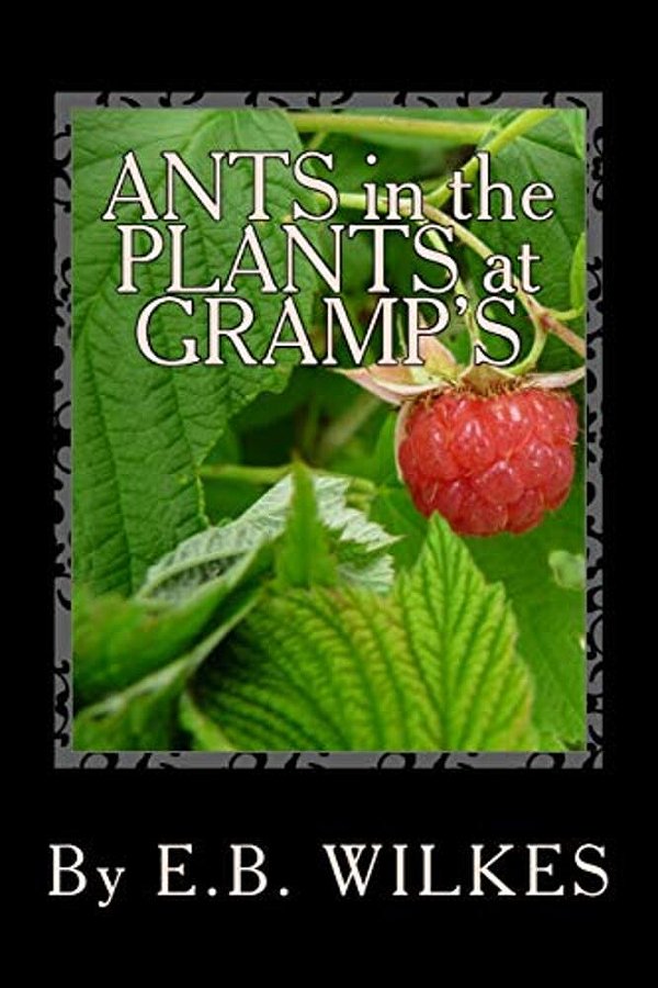 Ants In The Plants At Gramps-..