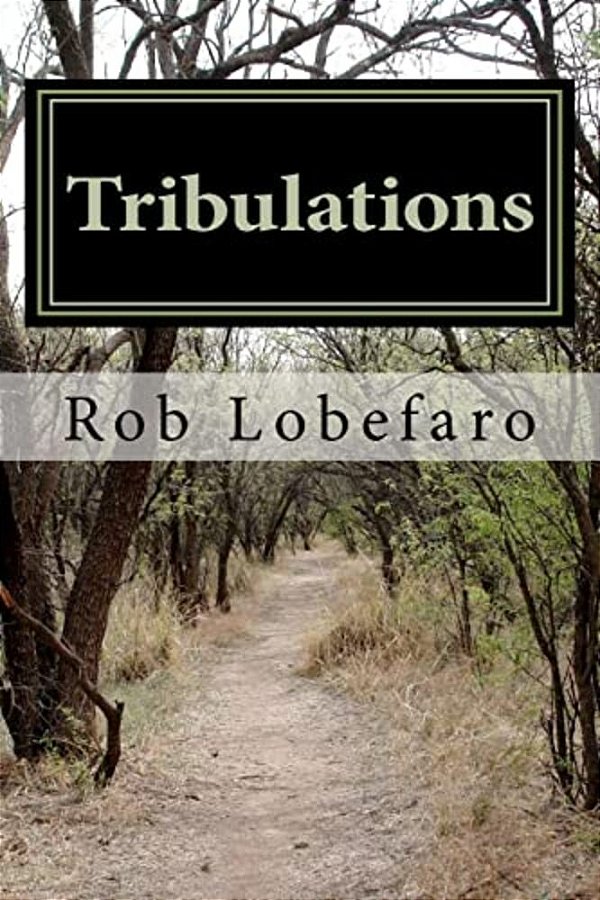 Tribulations: Elliott, A Widowed High School Teacher, Must Overcome Personal Hurdles And Rescue His Only Daughter From The Clutches Of A Religious Cul-..