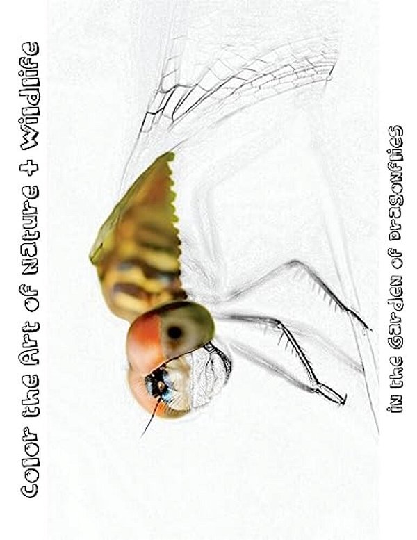 In The Garden Of Dragonflies [Line Drawings]: Color The Art Of Nature + Wildlife-..