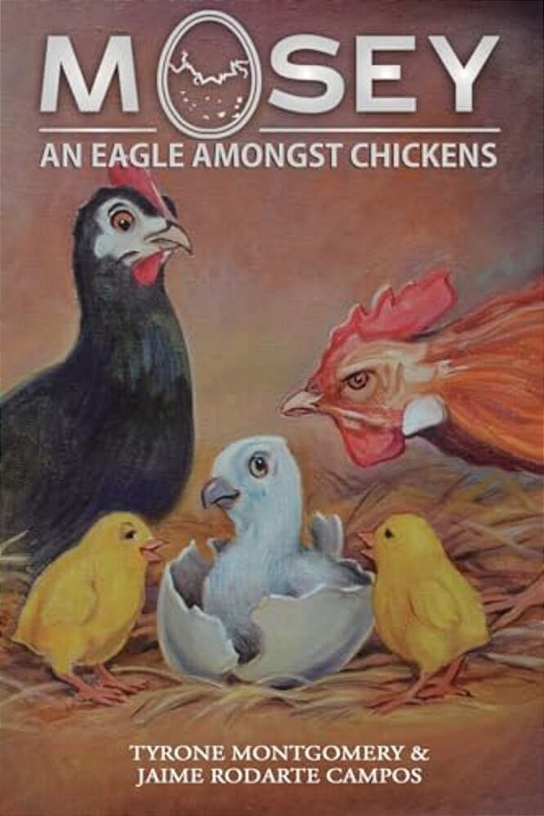 Mosey: An Eagle Amongst Chickens-..
