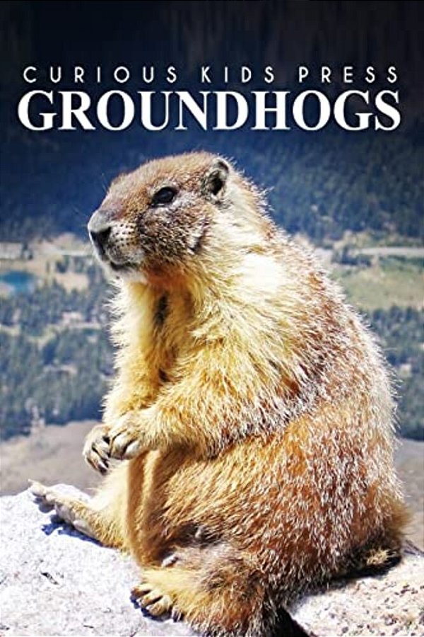 Groundhogs - Curious Kids Press: Kids Book About Animals And Wildlife, Children's Books 4-6-..