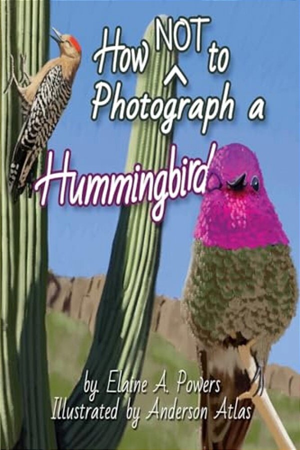 How Not To Photograph A Hummingbird-..