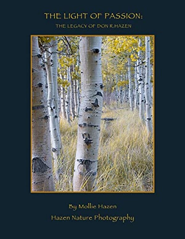 The Light Of Passion: The Legacy Of Don R. Hazen-..