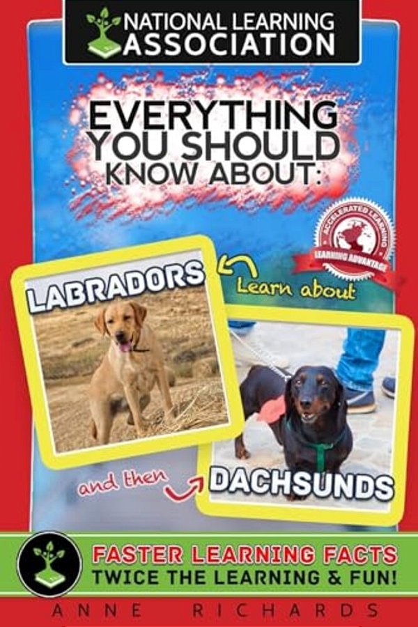 Everything You Should Know About: Labradors And Dachshunds-..