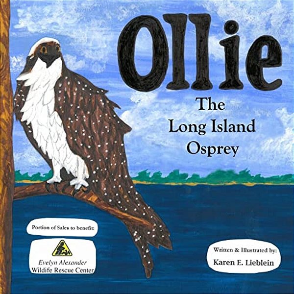 Ollie The Long Island Osprey-..