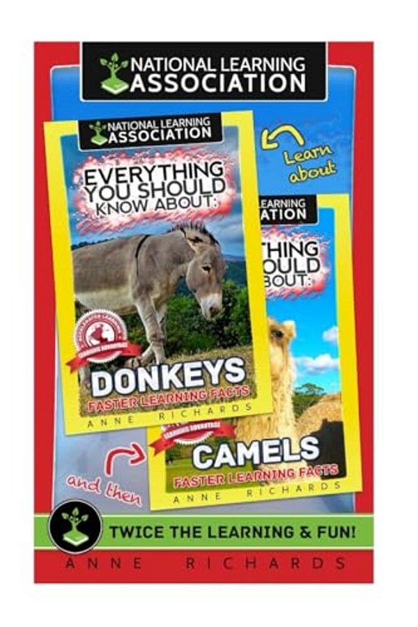 Everything You Should Know About: Camels And Donkeys-..
