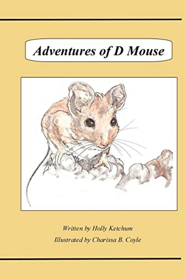 Adventures Of D Mouse-..