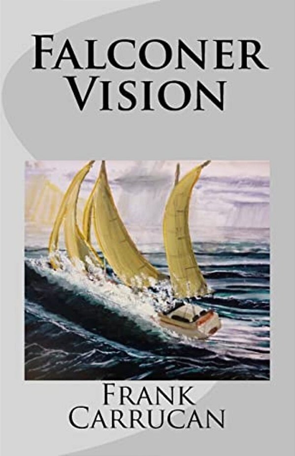 Falconer Vision: Infinite Worlds: Book 2-..