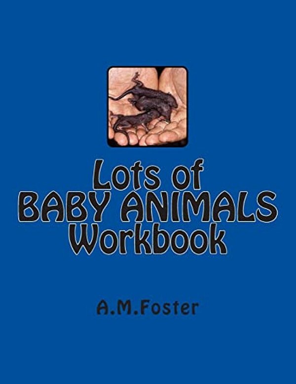 Lots Of Baby Animals Workbook-..