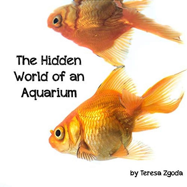 The Hidden World Of An Aquarium-..