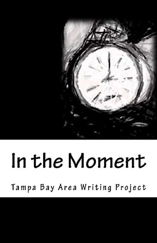 In The Moment: The 2017 Tampa Bay Area Writing Project Anthology-..