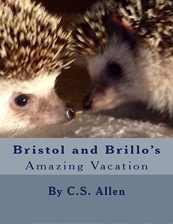 Bristol And Brillo's Amazing Vacation: The Hedgehog Sisters-..