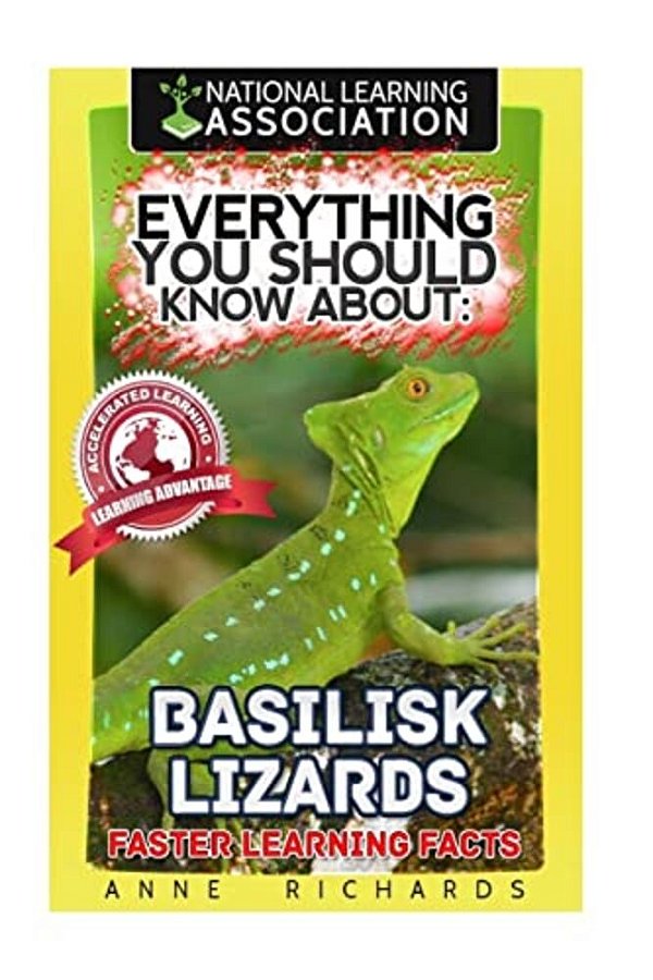Everything You Should Know About: Basilisk Lizards-..