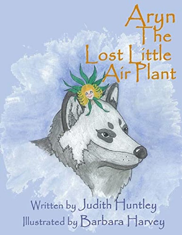 Aryn The Lost Little Air Plant-..