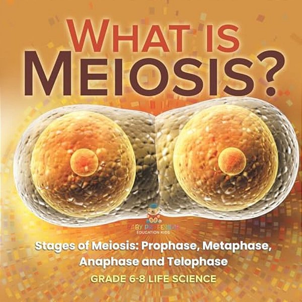 What Is Meiosis? Stages Of Meiosis, Prophase, Metaphase, Anaphase And Telophase Grade 6-8 Life Science-..