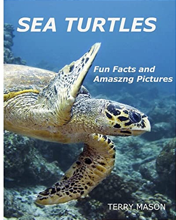 Sea Turtles:: Fun Facts And Amazing Pictures-..