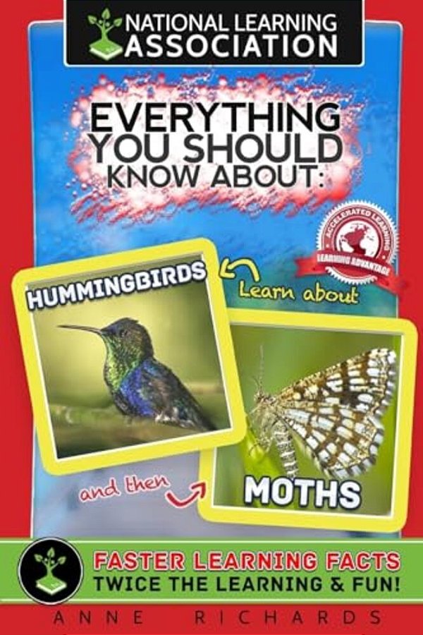 Everything You Should Know About Hummingbirds And Moths-..