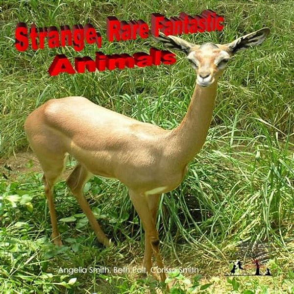Strange Rare Fantastic Animals-..