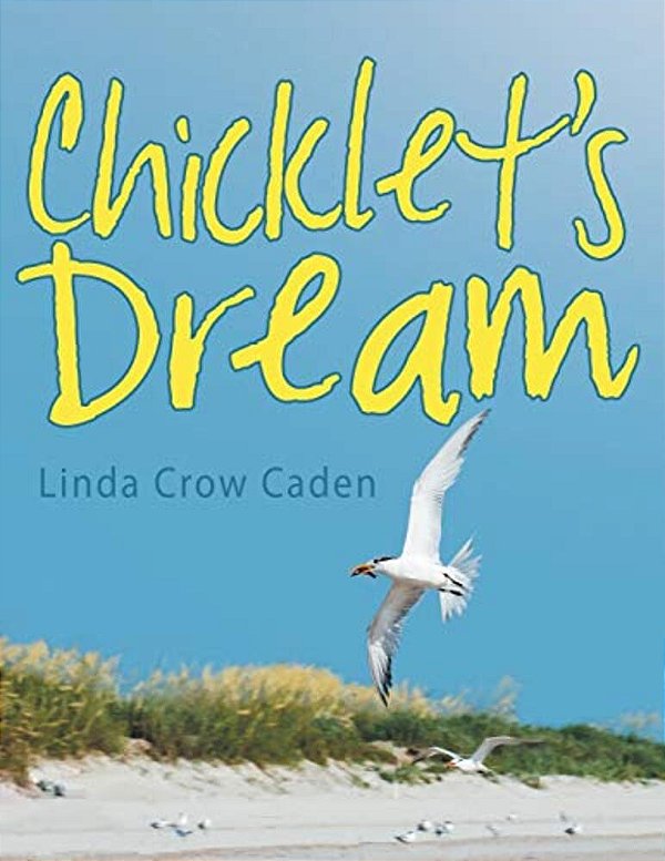 Chicklet's Dream-..