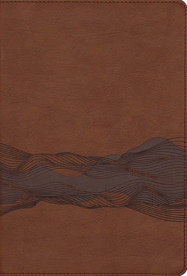 Niv, Timeline Bible, Leathersoft, Brown, Red Letter, Comfort Print: A Chronological Study Through Scripture-..