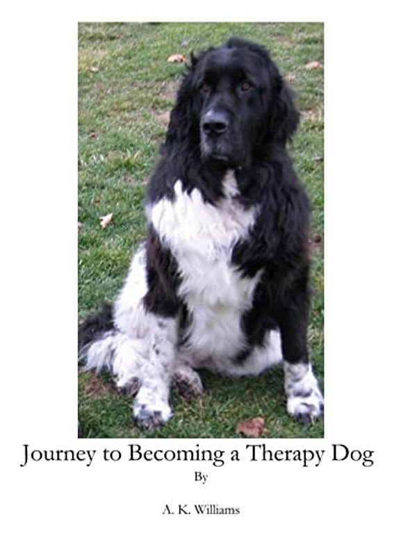 Journey To Becoming A Therapy Dog-..