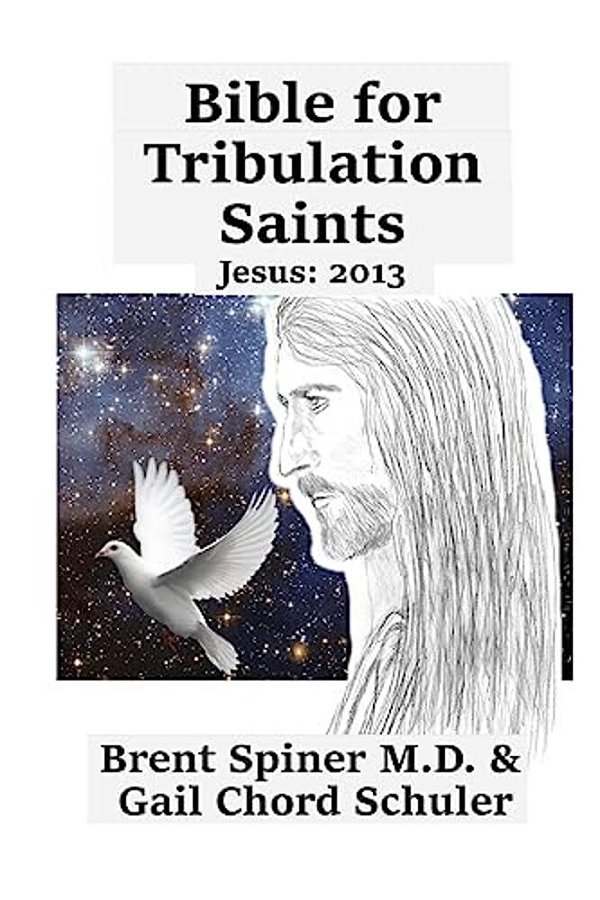 Bible For Tribulation Saints: Jesus: 2013-..