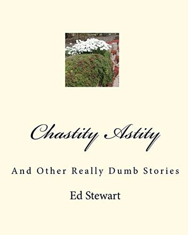 Chastity Astity: And Other Really Dumb Stories-..