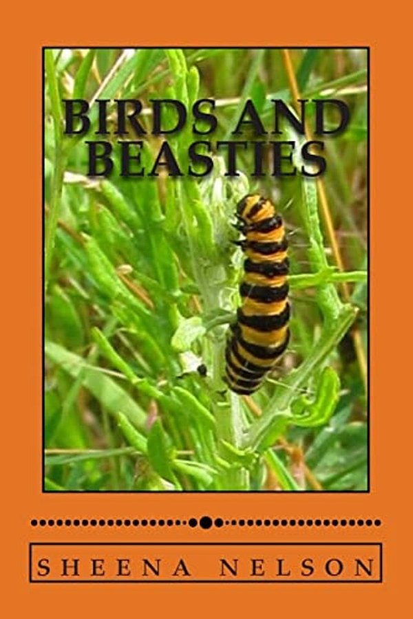 Birds And Beasties: A Photo Book Of Birds And Other Creatures-..