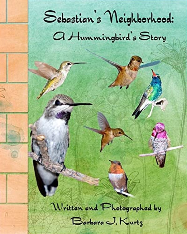 Sebastian's Neighborhood: A Hummingbird's Story-..