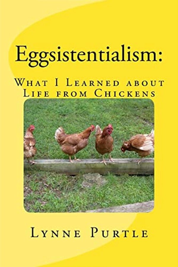 Eggsistentialism: What I Learned About Life From Chickens-..