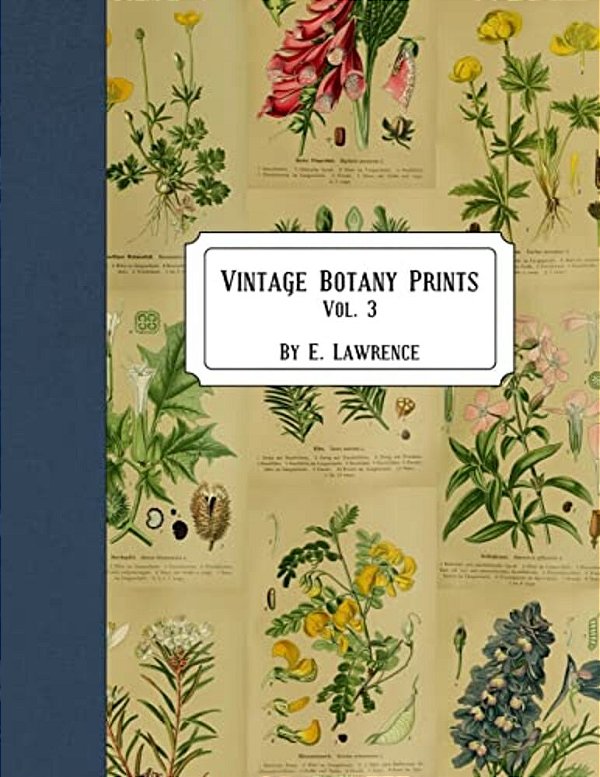 Vintage Botany Prints: Vol. 3-..