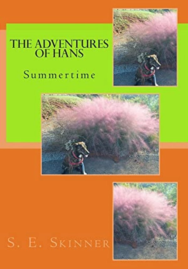 The Adventures Of Hans: Summertime-..