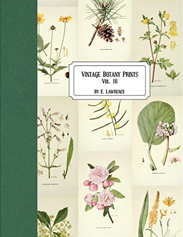 Vintage Botany Prints: Vol. 16-..