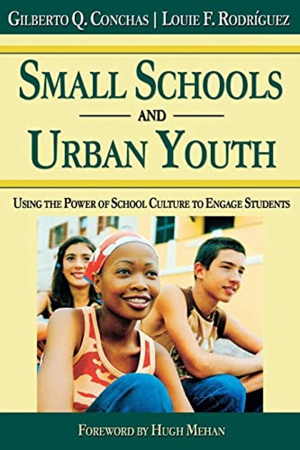 Small Schools And Urban Youth: Using The Power Of School Culture To Engage Students-..