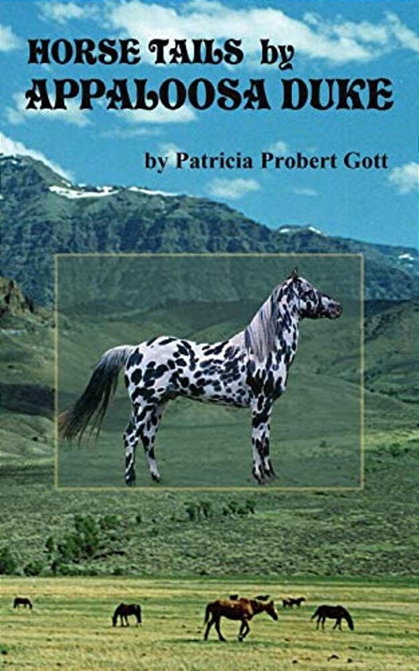 Horse Tails By Appaloosa Duke-..