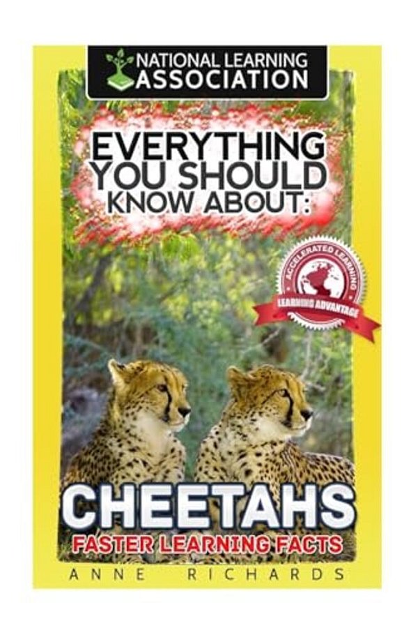 Everything You Should Know About: Cheetahs-..