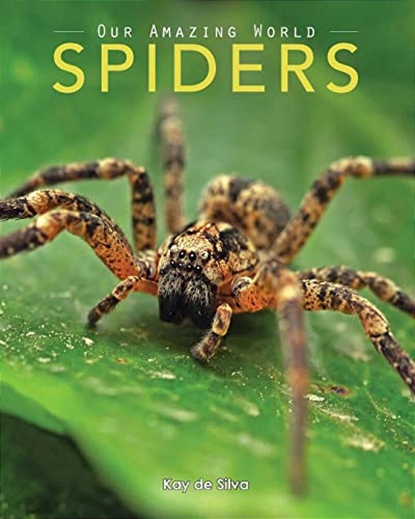 Spiders: Amazing Pictures & Fun Facts On Animals In Nature-..