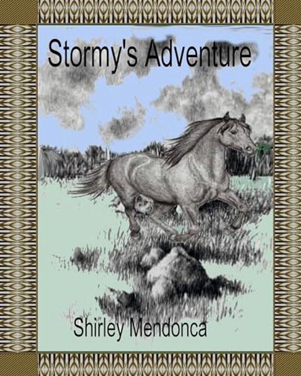 Stormy's Adventure-..