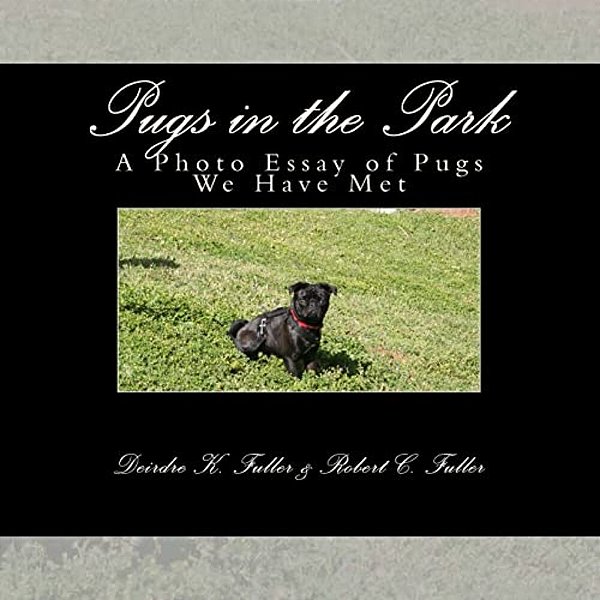 Pugs In The Park: A Photo Essay Of Pugs We Have Met-..