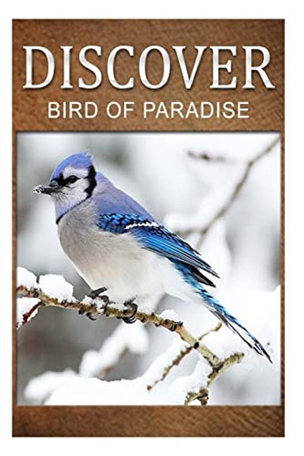 Birds Of Paradise - Discover: Early Reader's Wildlife Photography Book-..