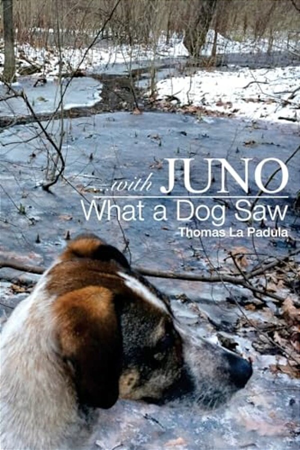 ... With Juno: What A Dog Saw-..