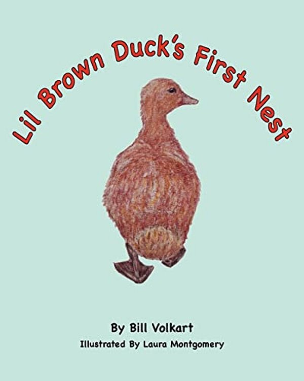Lil Brown Duck's First Nest-..