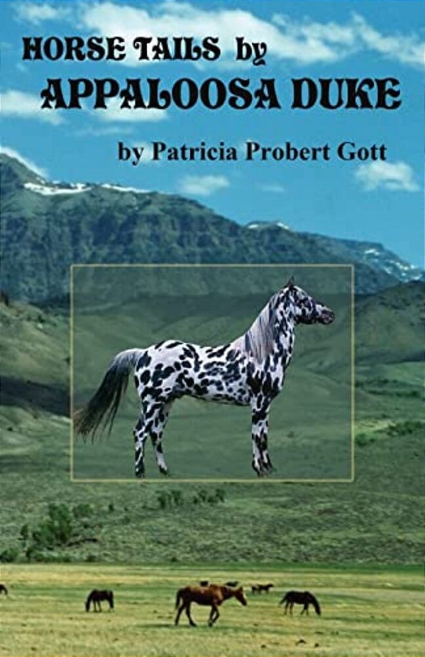Horse Tails By Appaloosa Duke-..