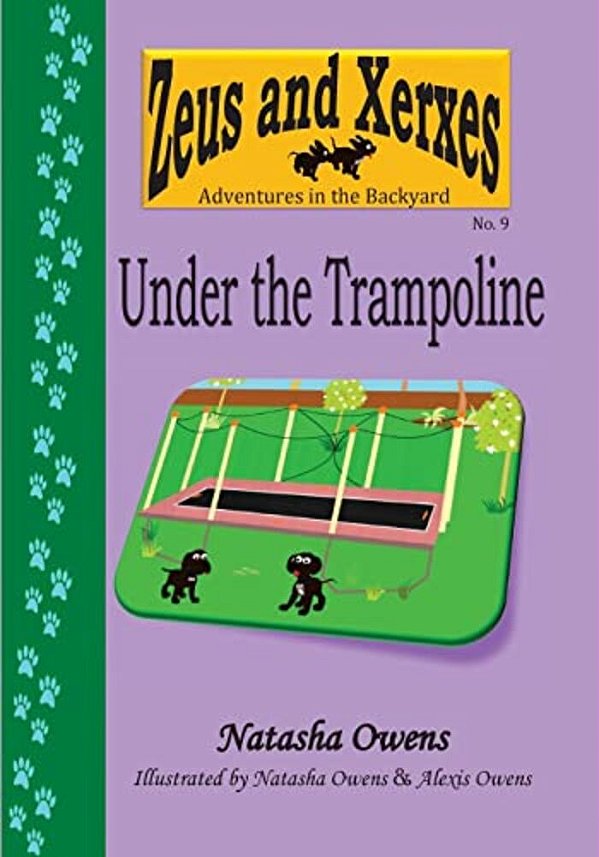 Under The Trampoline-..