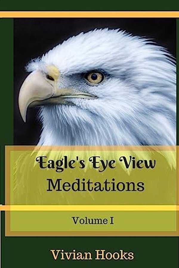 Eagle's Eye View Meditations-..