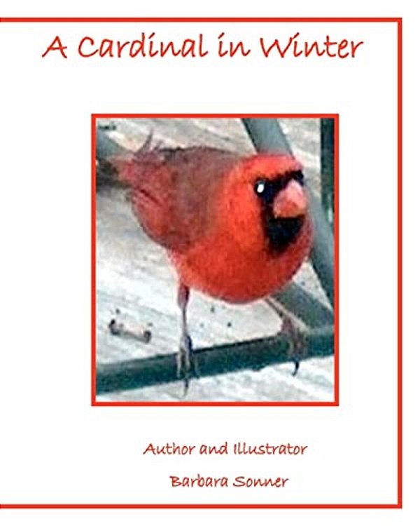 A Cardinal In Winter-..